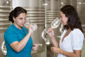 El tapón de corcho y su importancia para el vino - Condes de Albarei